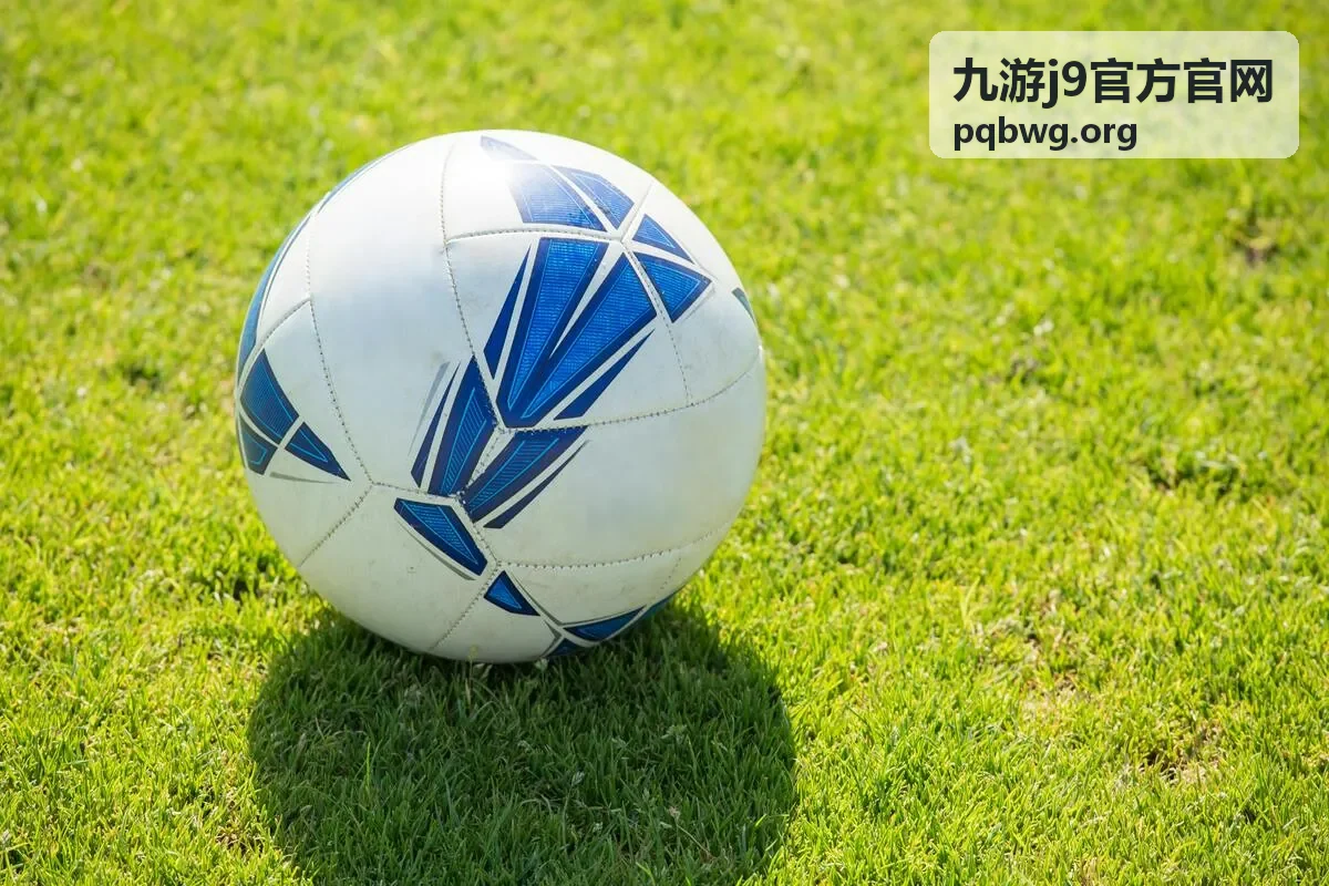九游j9 PC版播放控制与收藏同步界面